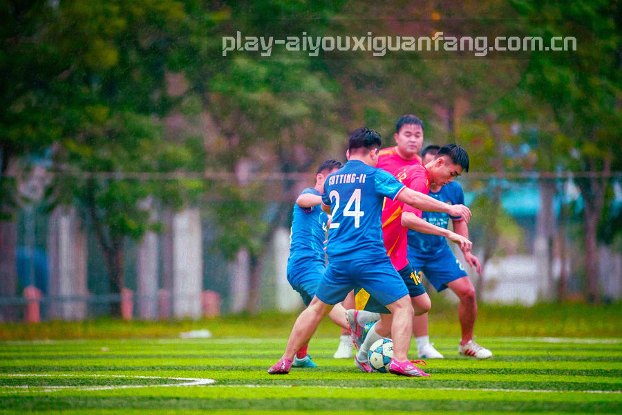 四段式时间轴、验证节点与勾选状态组成的会员服务数据流图形，深色底配荧光绿状态点